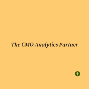 The CMO Analytics Partner