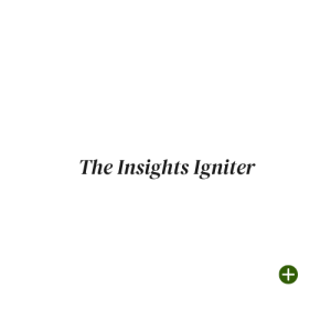 The Insights Igniter